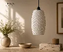 473E978C-900B-493B-9806-F49B24754DB9.webp